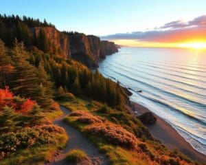 Naturerlebnisse im Fundy-Nationalpark, New Brunswick