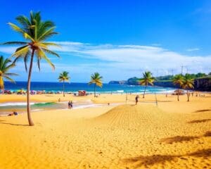 Strände und Abenteuer in Fortaleza, Brasilien