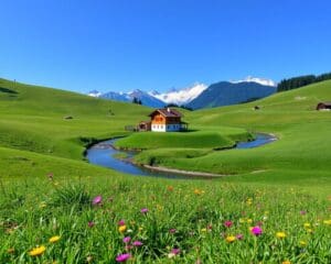 Österreich: Wie unterstütze ich meine Verdauung?