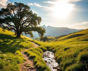 Wie entdeckst du Nordspanien ohne Eile?