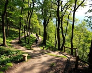 Wie findest du gute Wanderwege fuer Einsteiger?