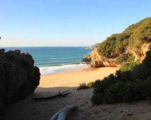 Wie findet man ruhige Strände in Portugal?