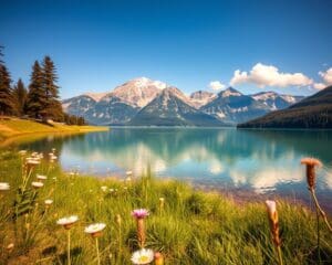 Was begeistert an Seen in der Schweiz?