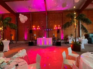 Warum Hochzeits DJ Frankfurt buchen besonders gefragt ist?