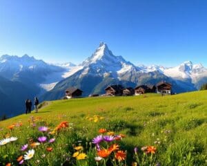 Warum ist die Jungfrauregion bekannt?