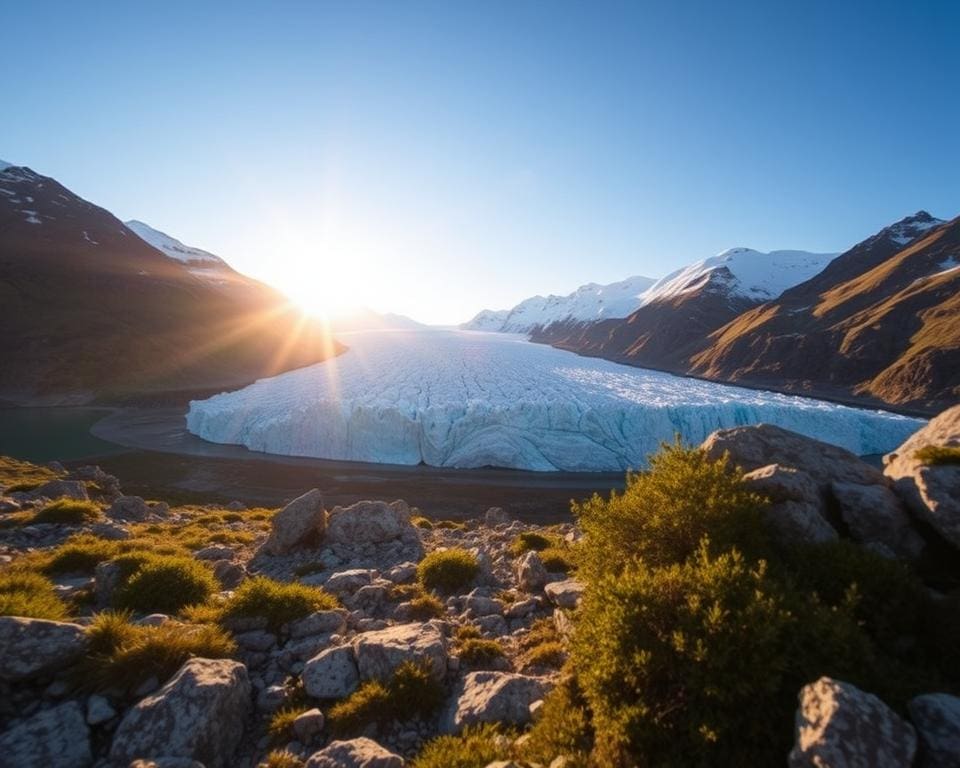 Welche Highlights bietet der Aletschgletscher?