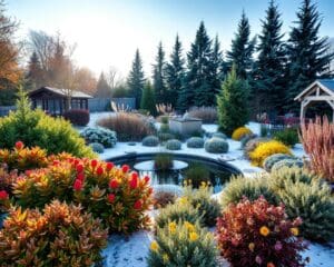 Welche Pflanzen sind winterhart?